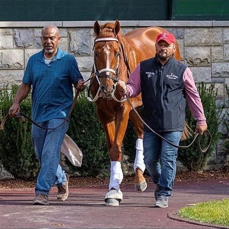 abc horses running today|Five Day ABC Guide (A.